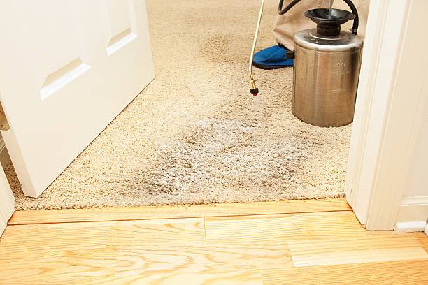 B & Q Carpet Cleaners | 363 Great Rd, Bedford, MA 01730, USA | Phone: (781) 417-5382