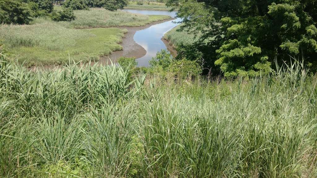 Freshkills Park | Staten Island, NY 10314, USA | Phone: (212) 602-5374