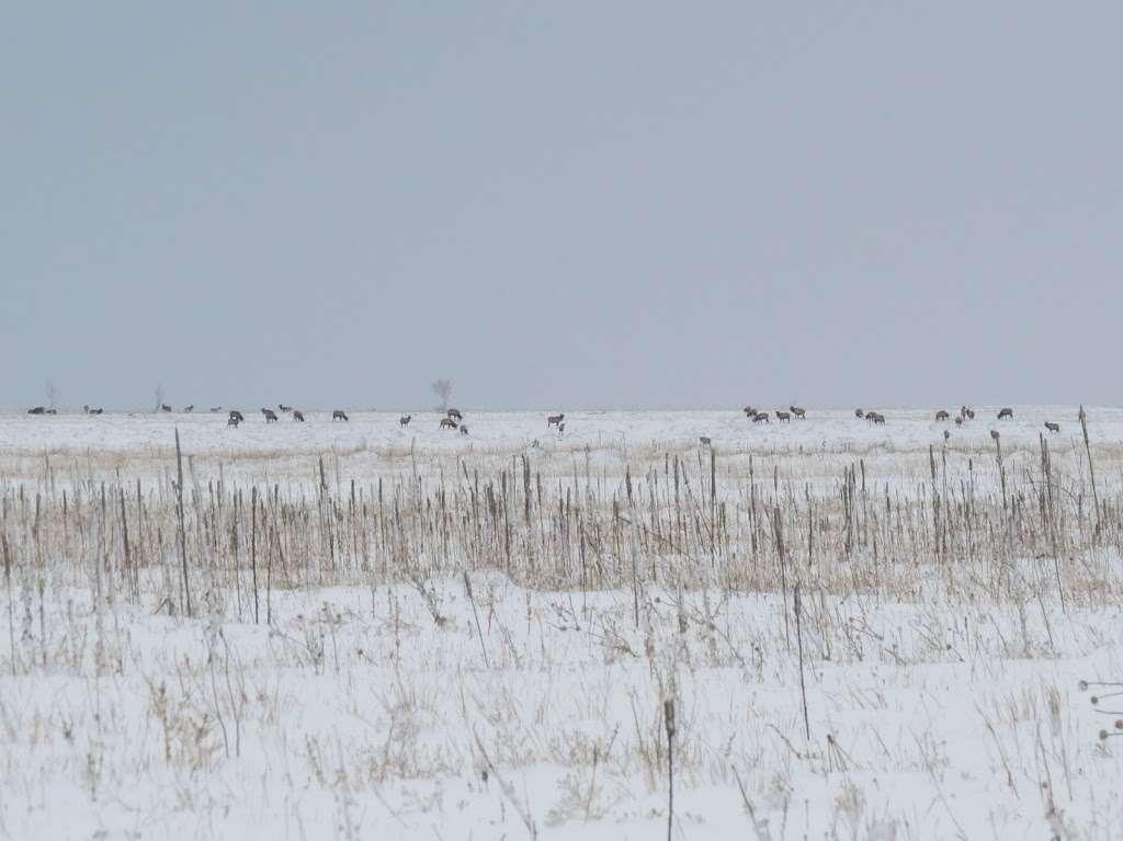 Rocky Flats Wildlife Refuge: Public Access | Louisville, CO 80027