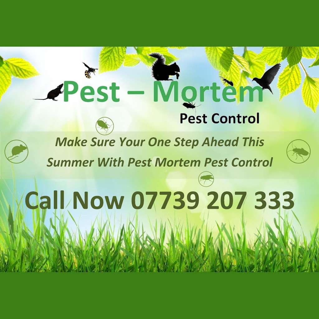Pest Mortem Pest Control | 55 Berwick Rd, Borehamwood WD6 4BG, UK | Phone: 07739 207333