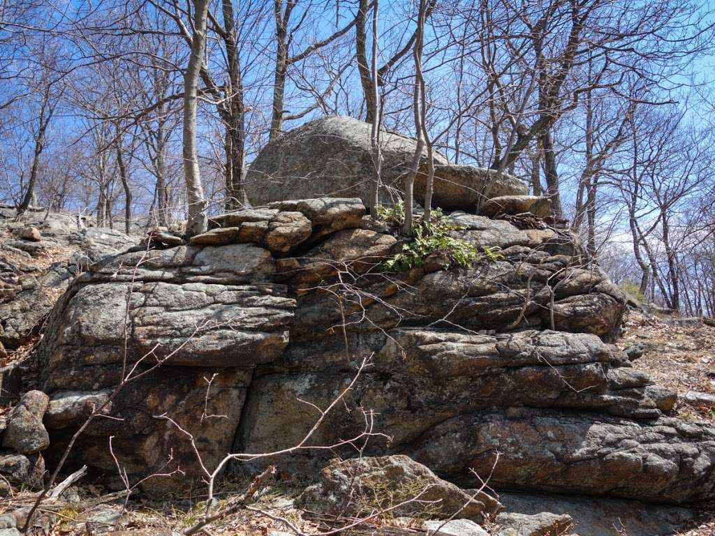 Torne View | Ramapo, NY 10901, USA