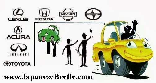 Japanese Beetle Inc | 928 E El Camino Real, Sunnyvale, CA 94087 | Phone: (408) 730-8900