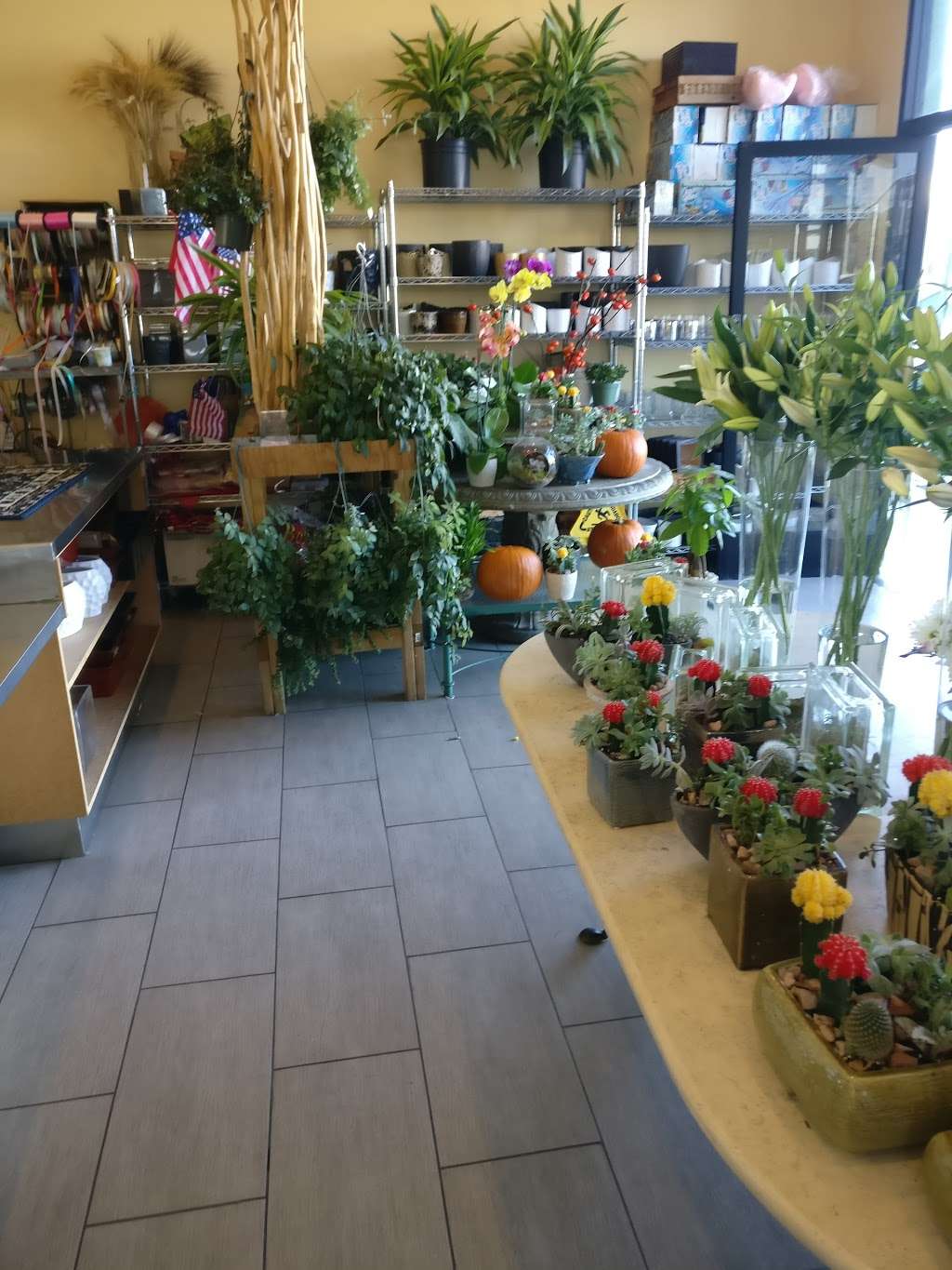 American Flowers | 12404 Venice Blvd, Los Angeles, CA 90066, USA | Phone: (310) 499-2529