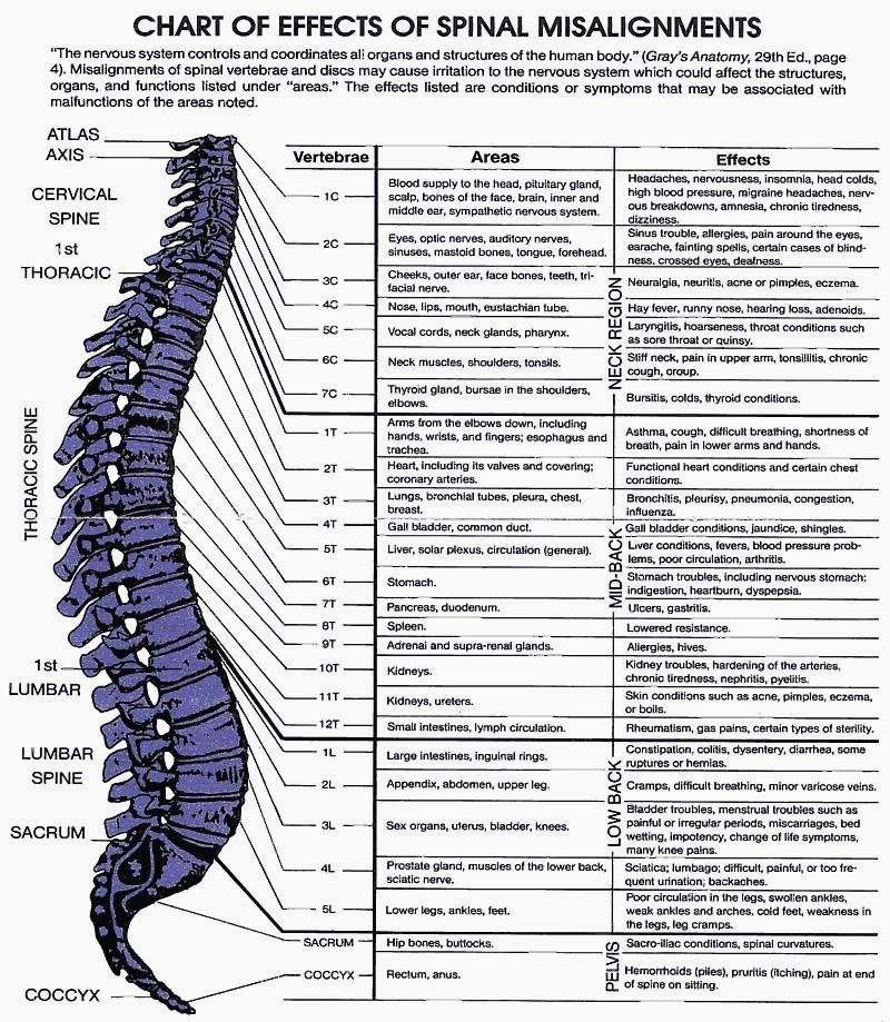 Health Science Chiropractic | 10601 Kaw Dr, Edwardsville, KS 66111, USA | Phone: (913) 535-4521