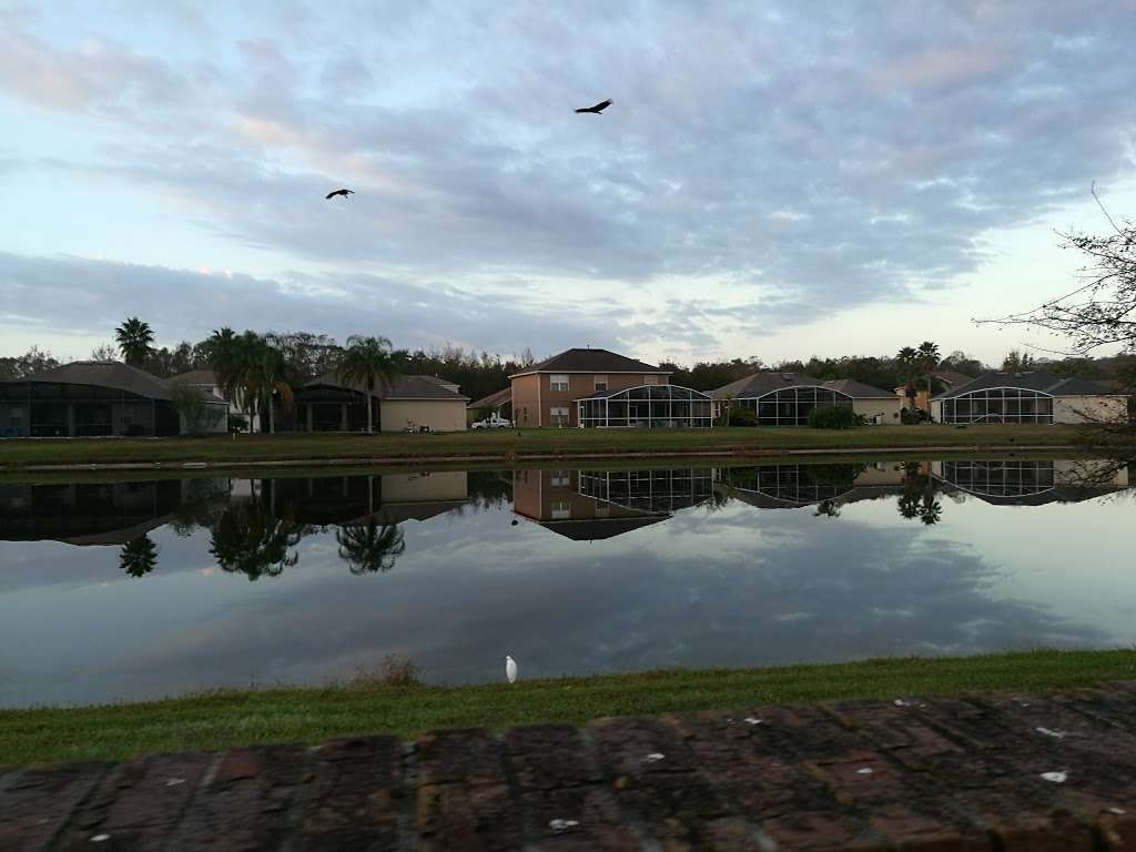 Florida Paradise Villas | 5454 Crepe Myrtle Cir, Kissimmee, FL 34758, USA