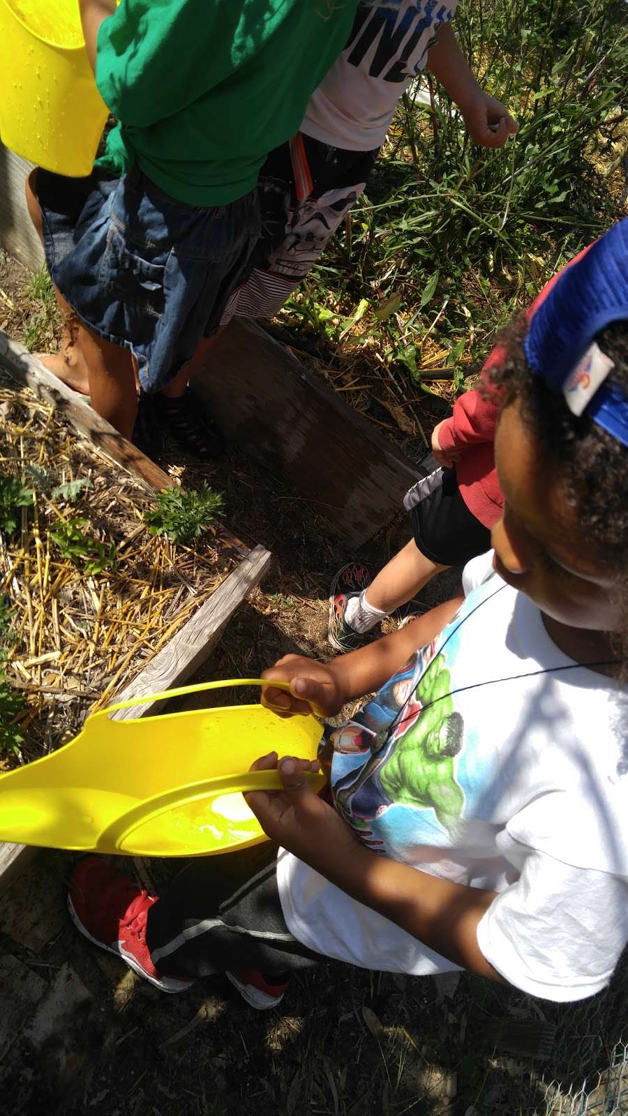 Childrens Organic Ethnobotany Garden | 2100 Park Blvd, San Diego, CA 92101, USA | Phone: (619) 230-1190