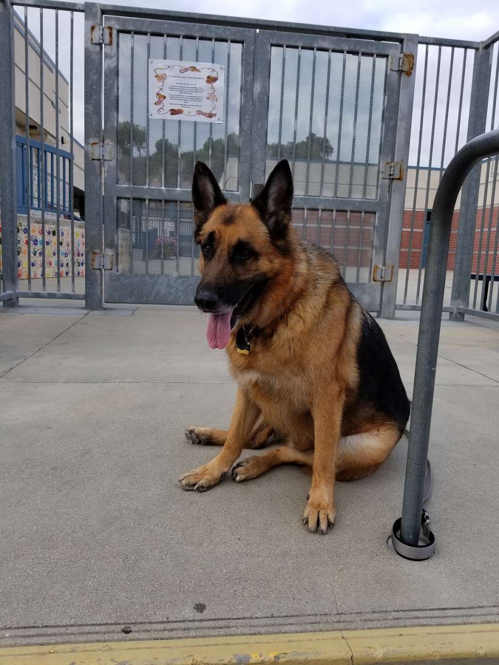 Butterfield Ranch Elementary School | 6350 Mystic Canyon Dr, Chino Hills, CA 91709, USA | Phone: (909) 591-0766