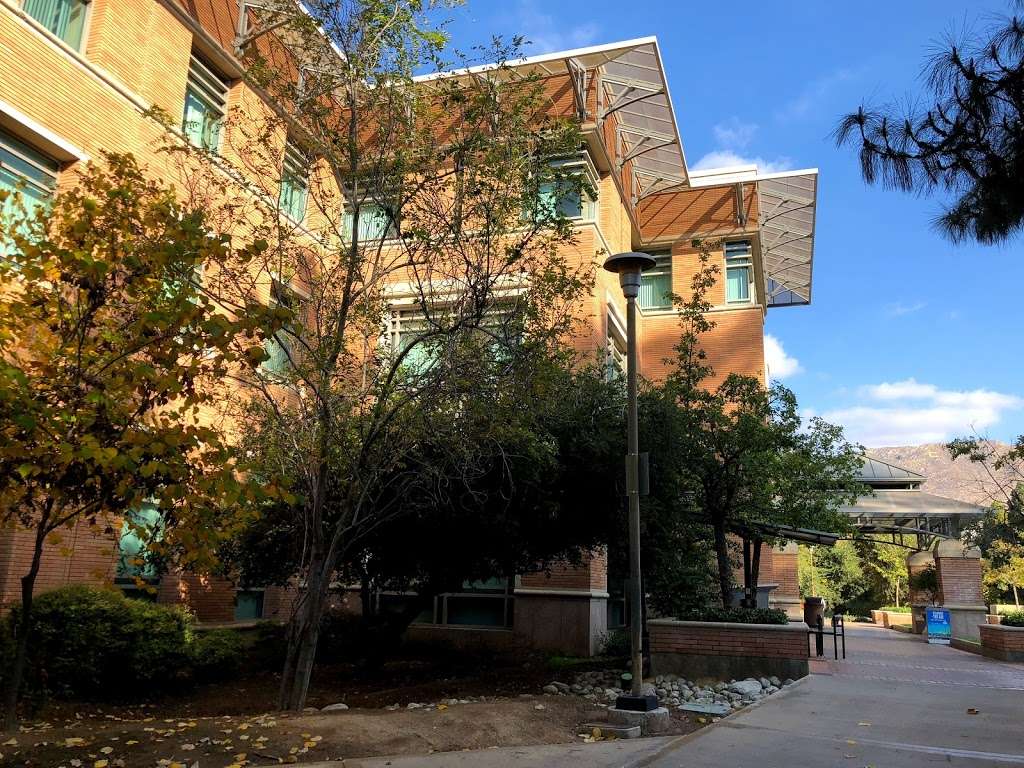 Orbach Science Library | 900 University Ave, Riverside, CA 92521, USA | Phone: (951) 827-3701