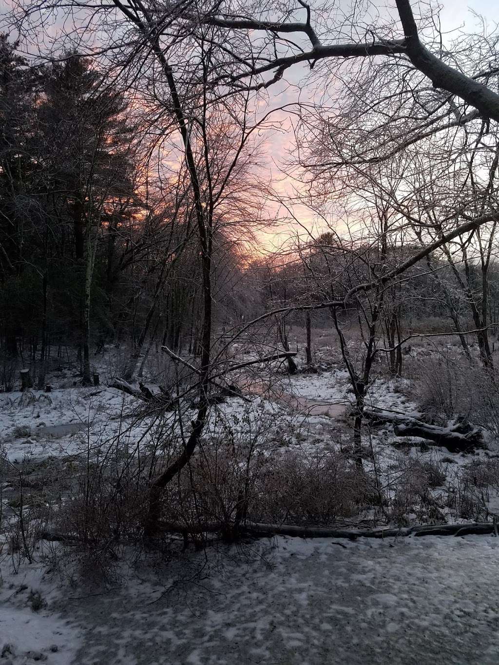 Marlborough-Sudbury State Forest | 31 Hale Rd, Stow, MA 01775, USA