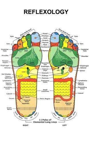 R & M Reflexology... PLUS | 3634 Red Hill Dr, Tannersville, PA 18372, USA | Phone: (570) 955-8739