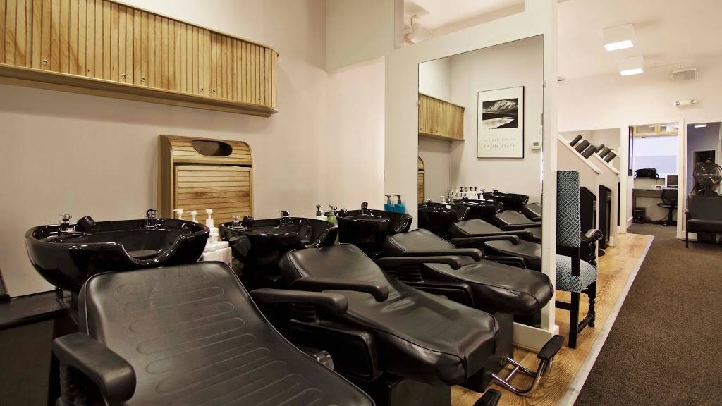 David the Salon | 373 Fisher Rd, Grosse Pointe, MI 48230, USA | Phone: (313) 886-3990