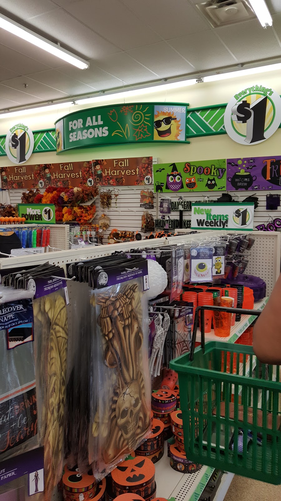 Dollar Tree | 1076 Cypress Pkwy, Kissimmee, FL 34759, USA | Phone: (407) 846-1279