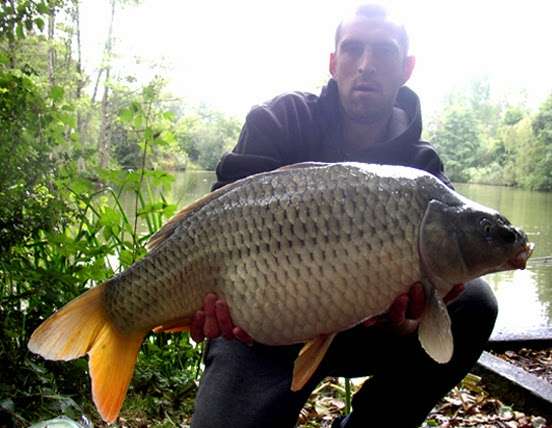 Bentley Fishery - Carp Lake | Mores Ln, Brentwood CM14 5RU, UK | Phone: 07939 074089