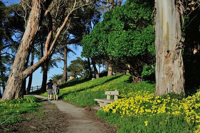 Coyote Point Recreation Area | 1701 Coyote Point Dr, San Mateo, CA 94401, USA | Phone: (650) 573-2592