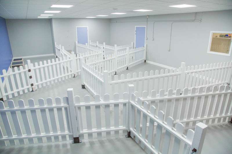 Ruff Ruff Paradise Pet Care & More | 13389 Murphy Rd, Stafford, TX 77477, USA | Phone: (832) 987-1881