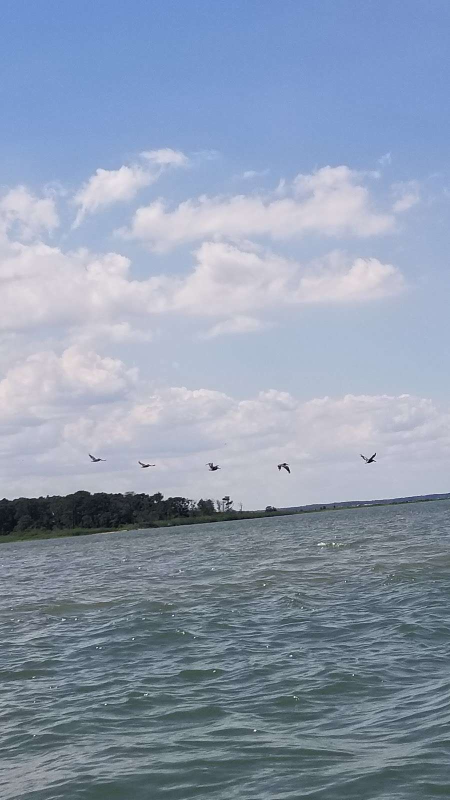 Burton Island Nature Preserve | Bethany Beach, DE 19930