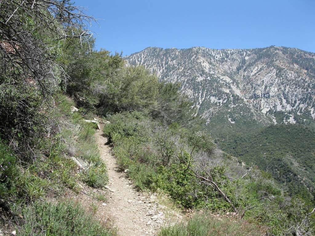 Bear Flat | Mt Baldy, CA 91759, USA