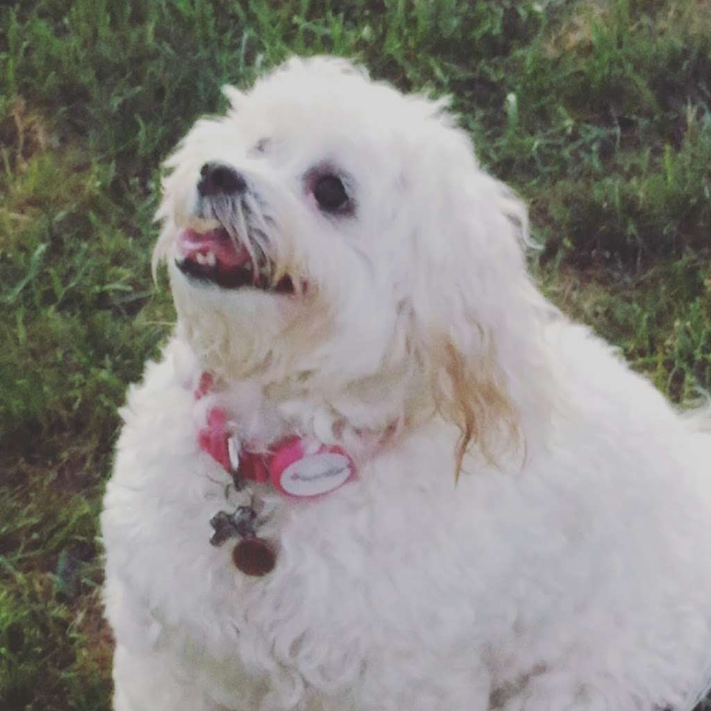 Valley View Park | N Monarch Rd, San Ramon, CA 94582, USA