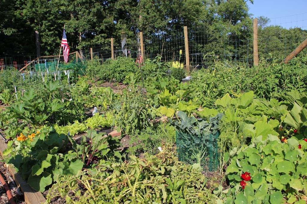 Hopatcong Community Garden | 107 Bell Ave, Hopatcong, NJ 07843, USA | Phone: (862) 243-2201