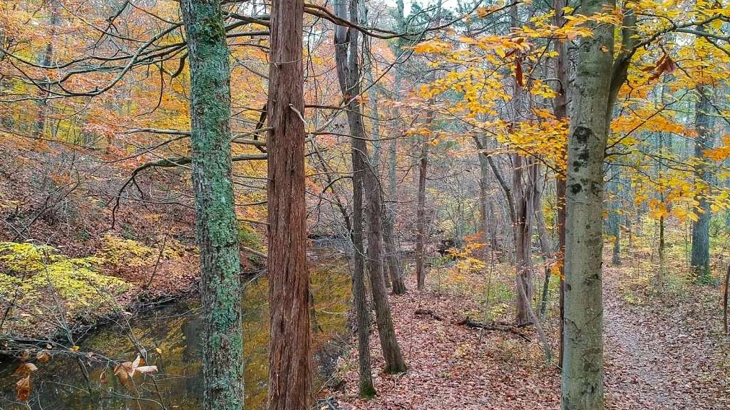 Little Rocky Run Trail | Little Rocky Run Cir, Centreville, VA 20121, USA