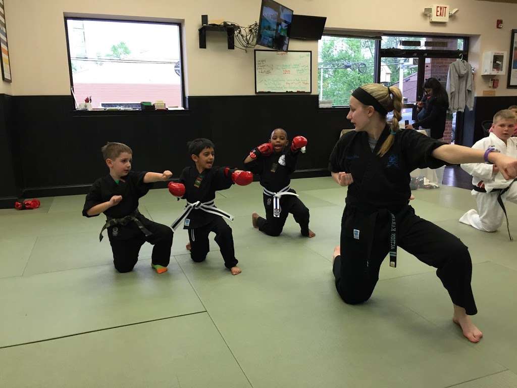 Action Karate Manayunk | 4799 1/2 Silverwood St, Philadelphia, PA 19128, USA | Phone: (267) 630-2724