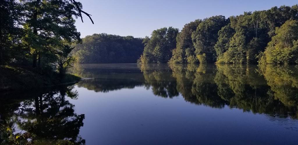 Meeman-Shelby Forest Cabins | Grassy Lake Rd, Millington, TN 38053 | Phone: (901) 876-5215