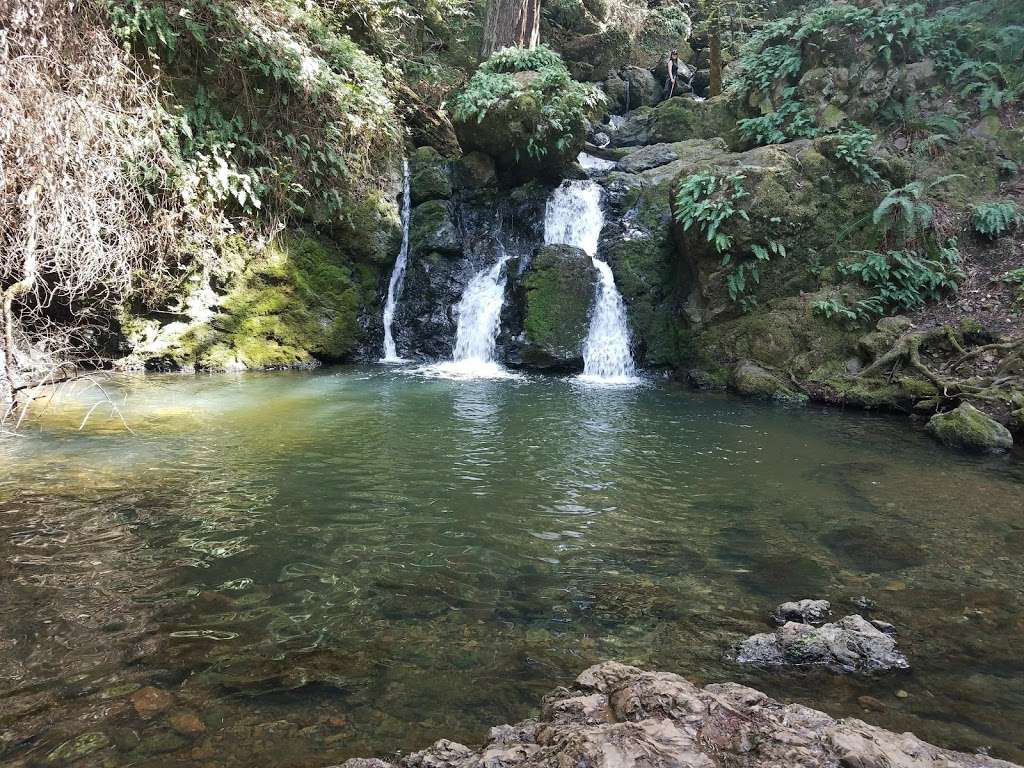 Roys Redwoods Preserve | Woodacre, CA 94973, USA