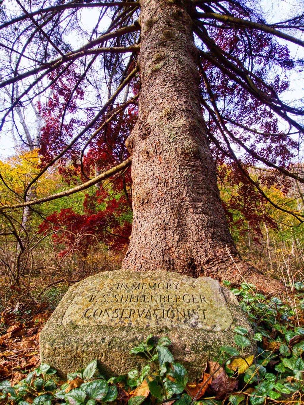 Fishing Creek Nature Preserve | Fishing Creek Hollow Rd, Drumore, PA 17518, USA | Phone: (717) 392-7891