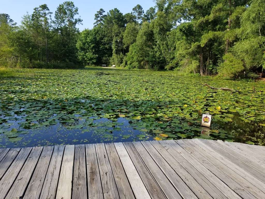 Houston Arboretum & Nature Center | 4501 Woodway Dr, Houston, TX 77024, USA | Phone: (713) 681-8433