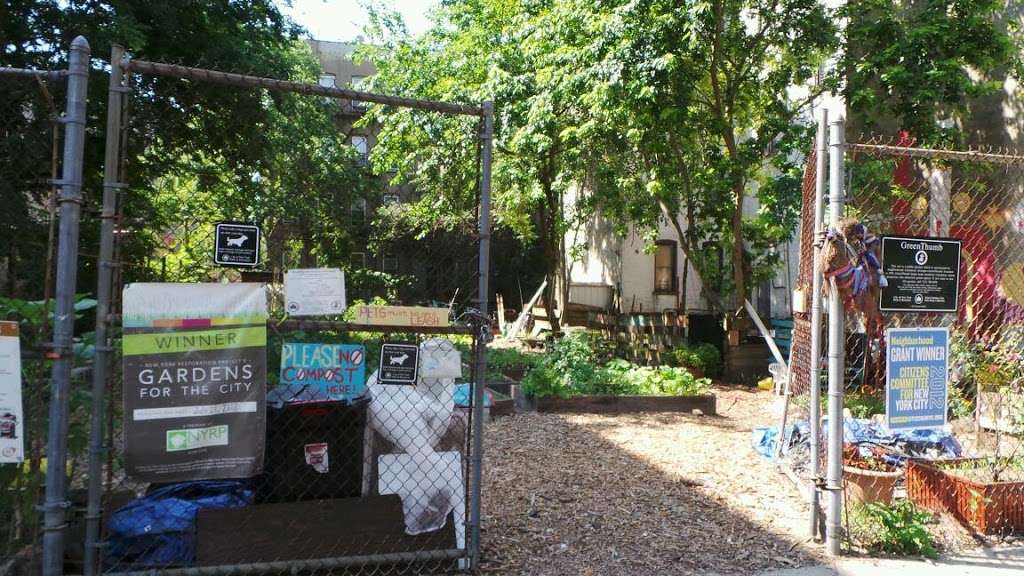 462 Halsey Community Gardens | Halsey St, Brooklyn, NY 11233, USA