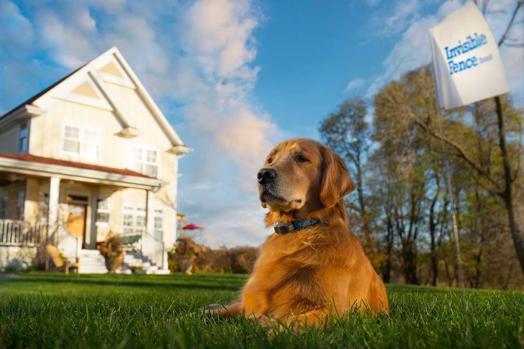 Invisible Fence of the Jersey Shore | 501 Delaware Ave, Egg Harbor Township, NJ 08234 | Phone: (609) 927-3353