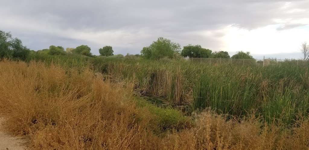 Tres Rios Wetlands Hayfield Site | 8209 S 70th Ln, Laveen Village, AZ 85339, USA