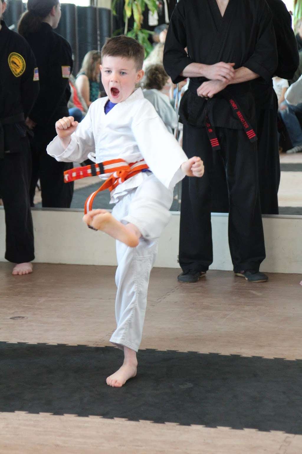 The Dojo | 141 Bridge Rd, Salisbury, MA 01952, USA | Phone: (978) 499-8800