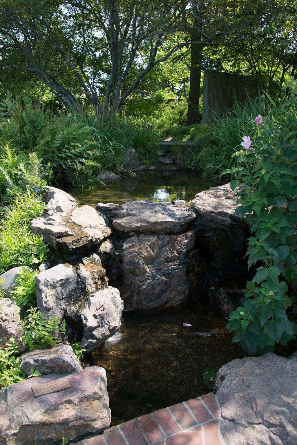 Native Plant Garden | Northbrook, IL 60062