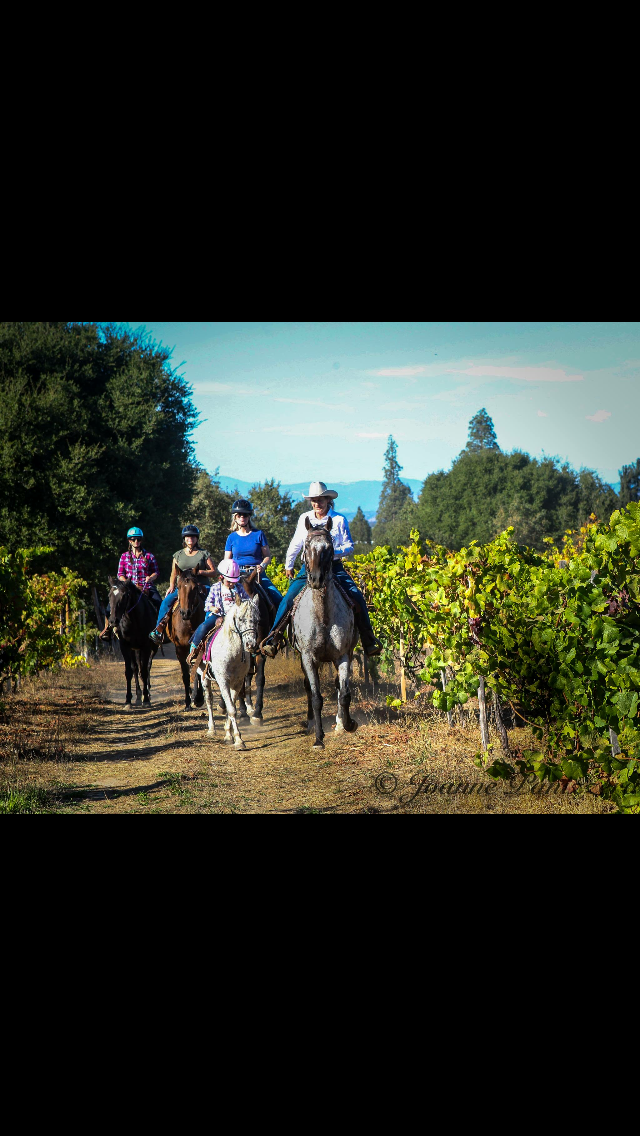 Rollin F Ranch | 100 Sparkes Rd, Sebastopol, CA 95472, USA | Phone: (707) 480-0800