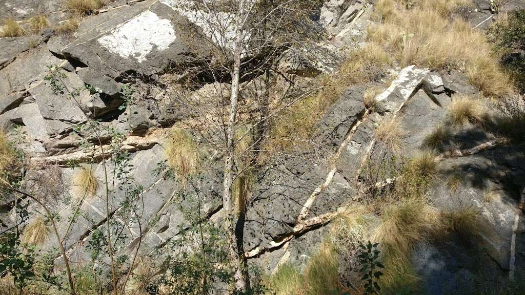 Walnut Canyon Trailhead | Unnamed Road, Pasadena, CA 91107, USA