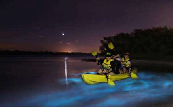BK Adventure Florida - Bioluminescence Tours | 485 N Washington Ave, Titusville, FL 32796, USA | Phone: (407) 519-8711