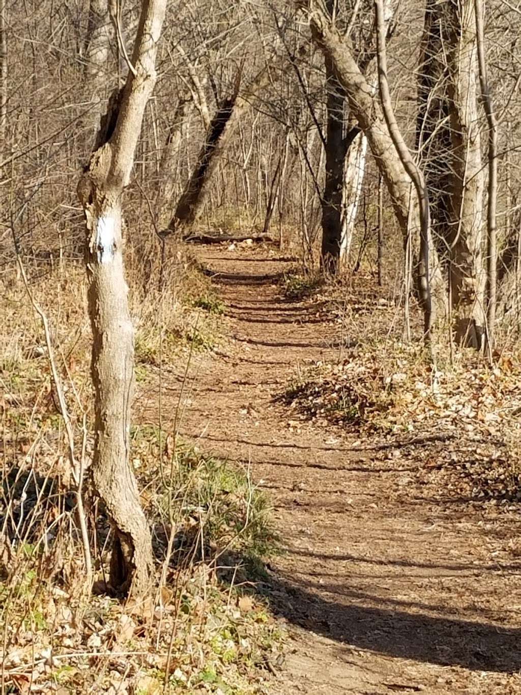 Victory Island Overlook | Billy Goat Trail Section C, Potomac, MD 20854