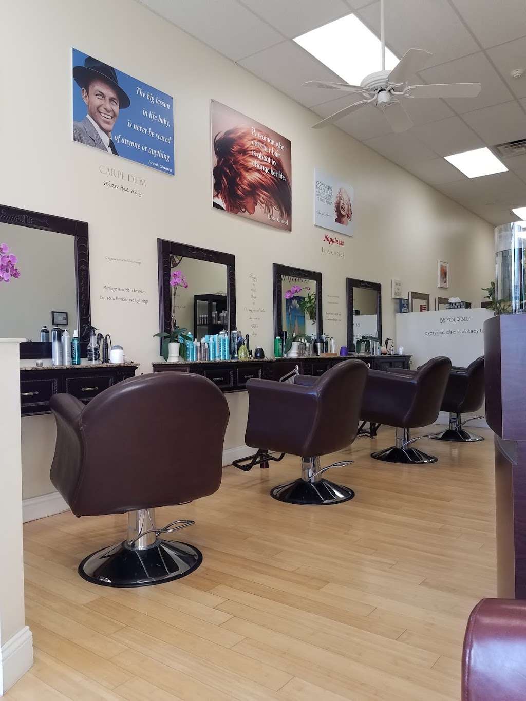 COSMO HAIR SALON | 3101 NY-22, Patterson, NY 12563 | Phone: (845) 319-6588