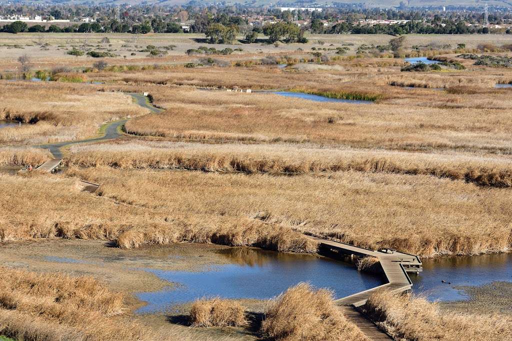 Coyote Hill Visitors Center | Fremont, CA 94555, USA | Phone: (510) 544-3220