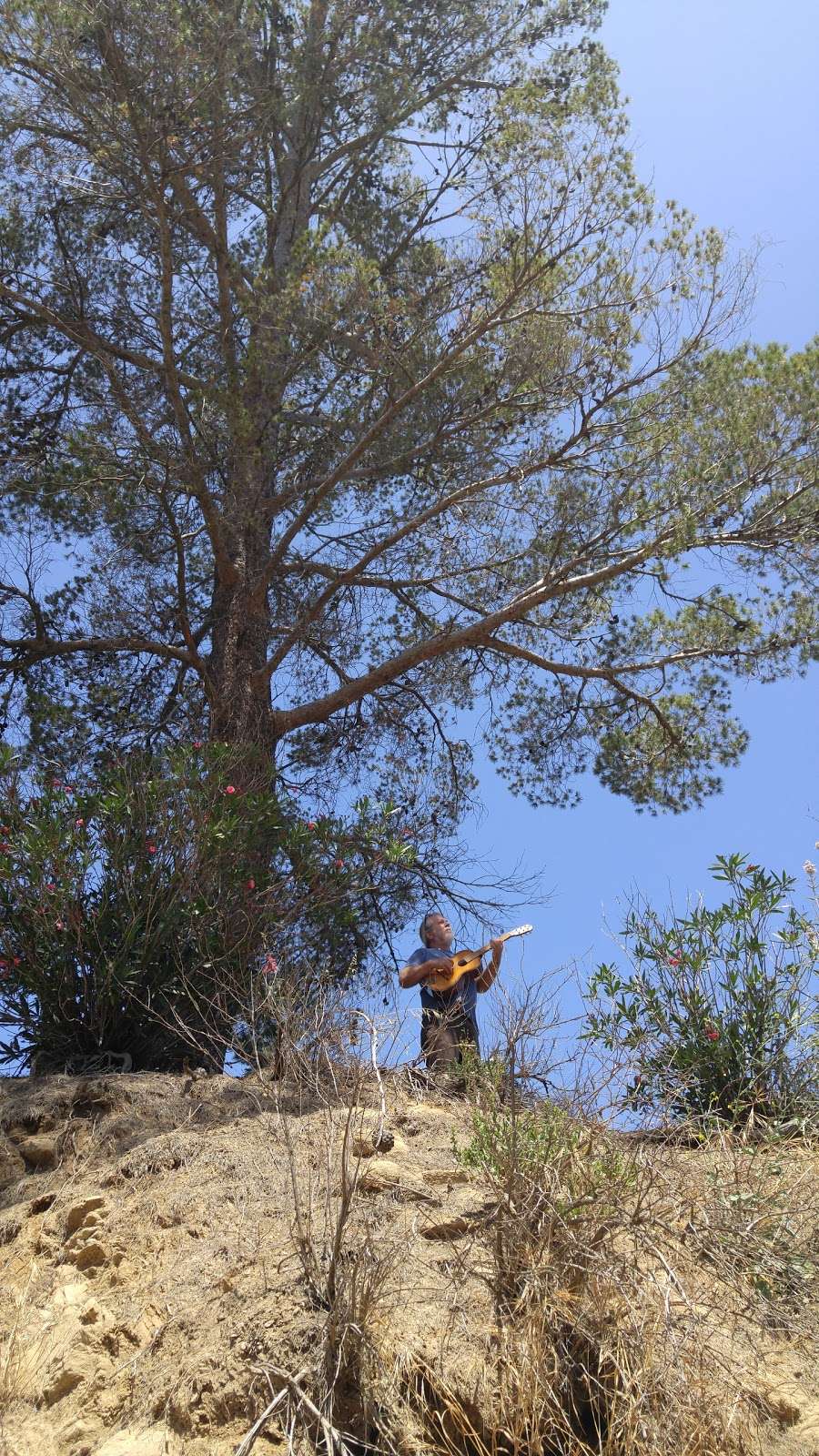 Los Angeles Horseback Riding | 2623 Old Topanga Canyon Rd, Topanga, CA 90290 | Phone: (818) 591-2032