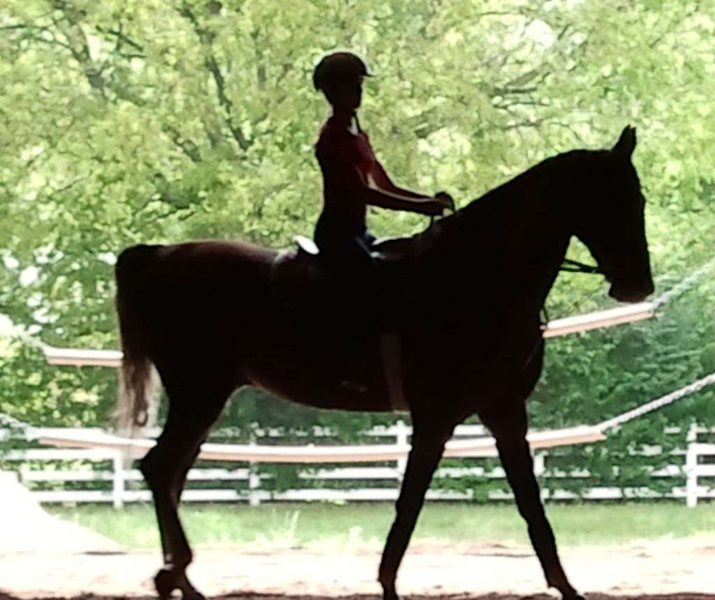 Claybridge Farm & Riding Academy | 434 N Peterman Rd, Greenwood, IN 46142