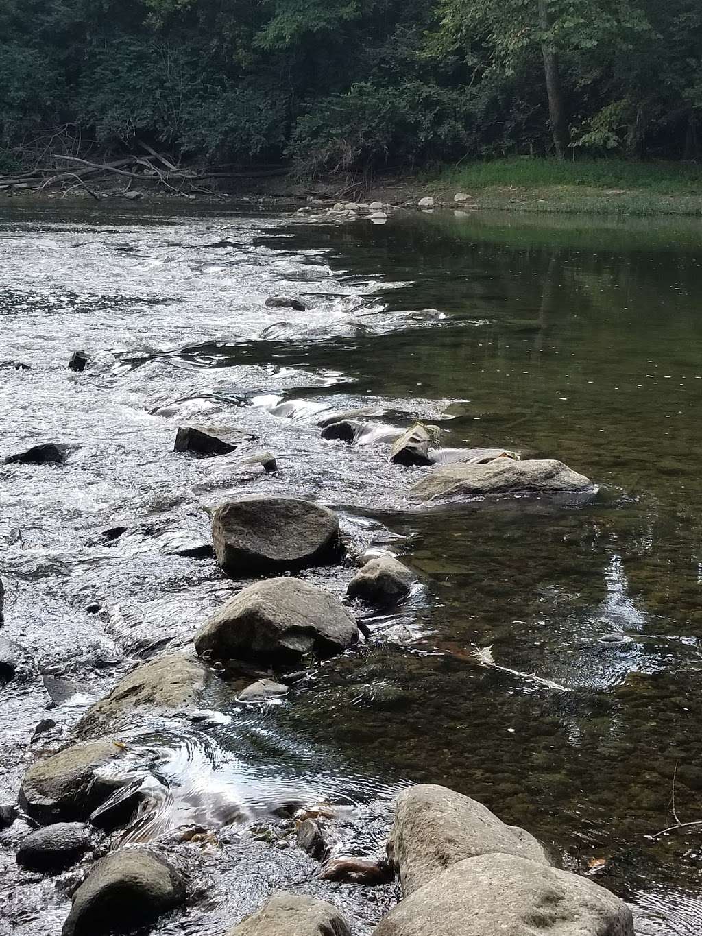 Friedman Park | 5670 Stone Hill Dr, Indianapolis, IN 46208, USA | Phone: (317) 327-7180