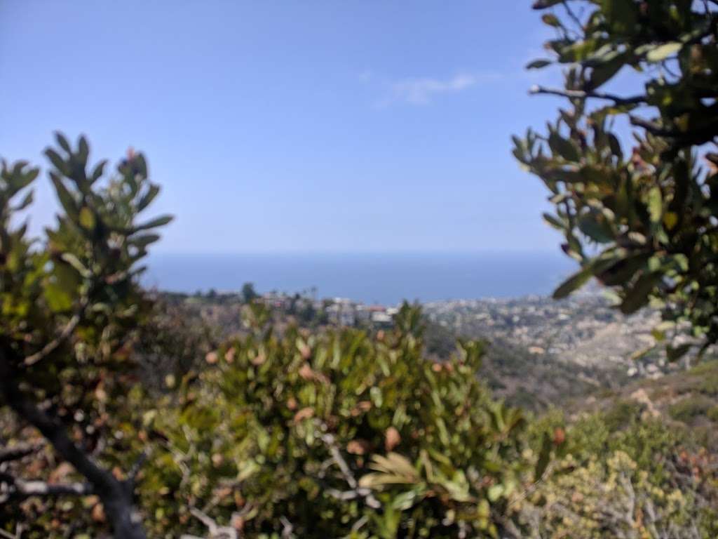 Top Of Aliso & Wood Park | 1100 Balboa Ave, Laguna Beach, CA 92651, USA