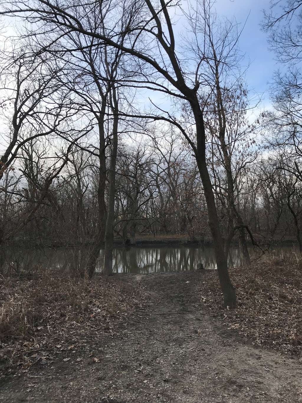 Des Plaines River Trail at Jerome Huppert Woods | Des Plaines River Trail, River Grove, IL 60171