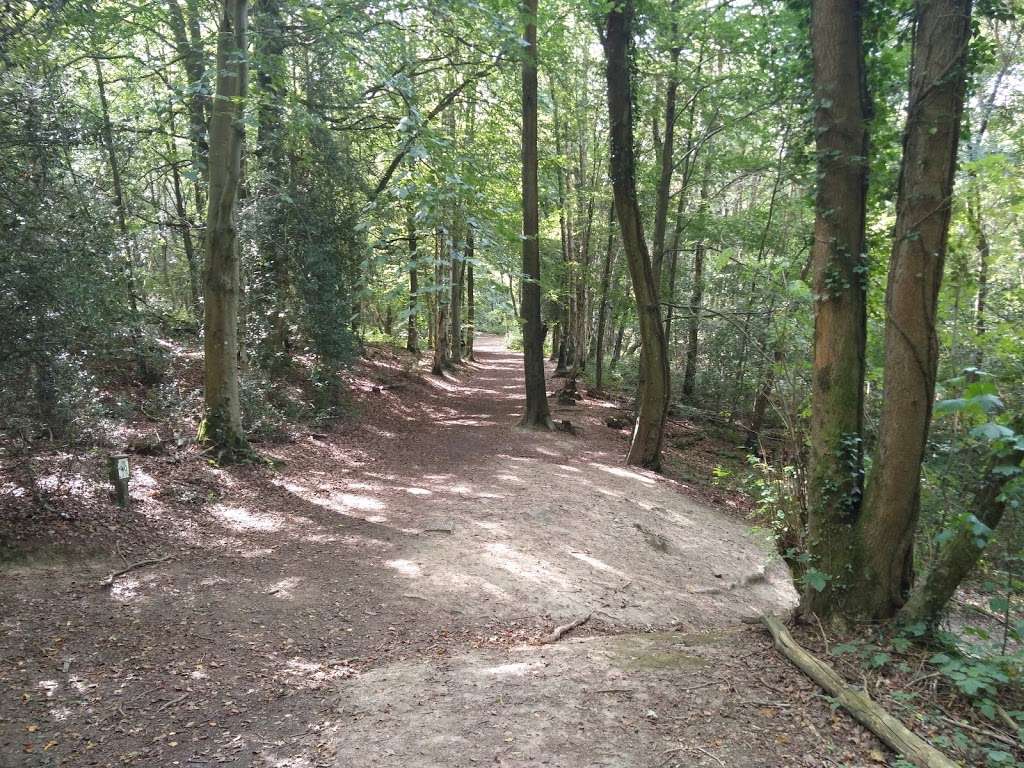 Hurst Wood | Royal Tunbridge Wells, Tunbridge Wells TN4 9SU, UK