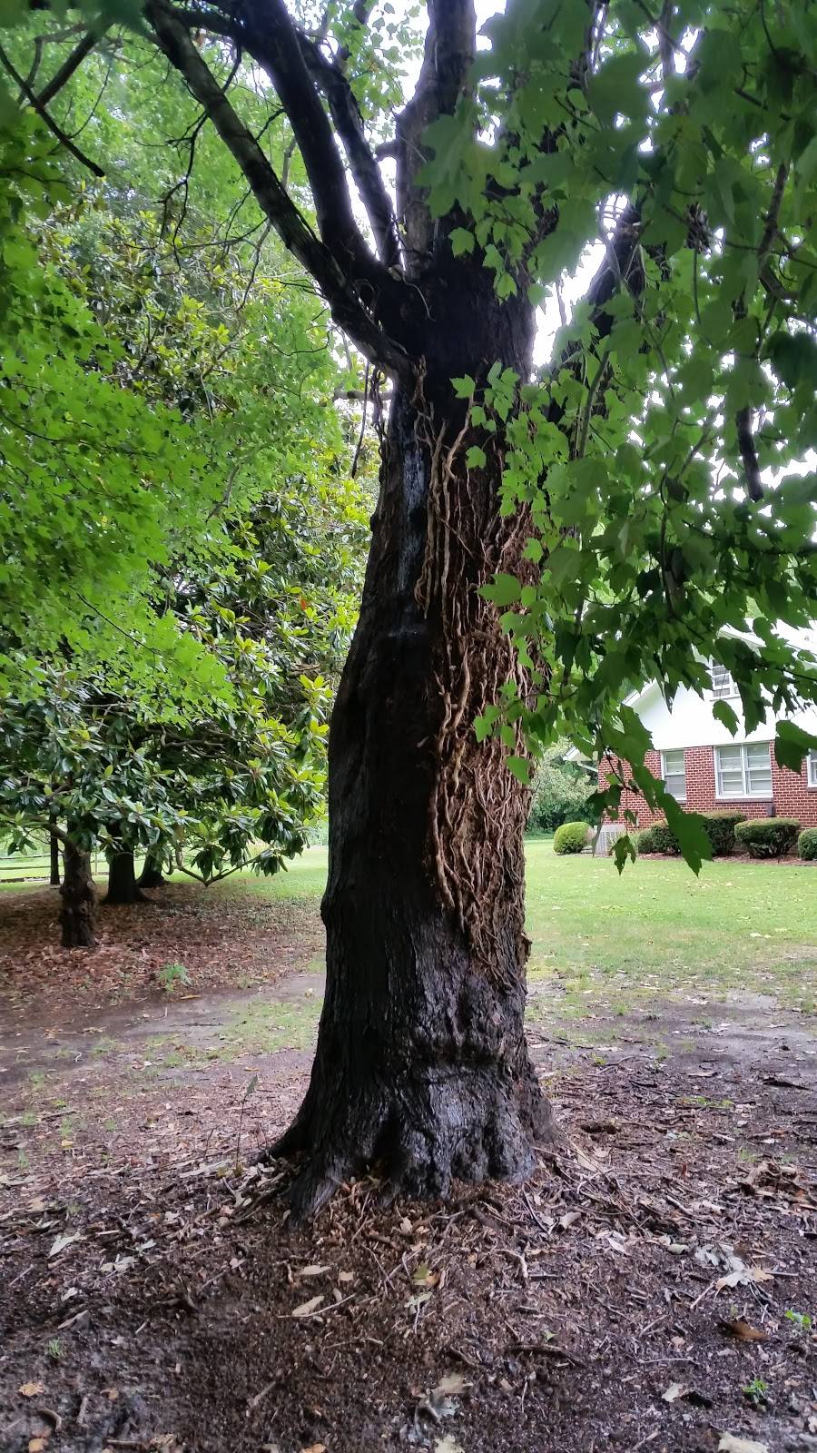 Calvin B. Taylor House | 208 N Main St, Berlin, MD 21811, USA | Phone: (410) 641-1019