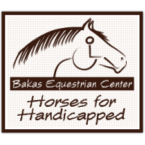 Bakas Equestrian Center: Horses for Handicapped | 11510 Whisper Lake Trail, Tampa, FL 33626, USA | Phone: (813) 264-3890
