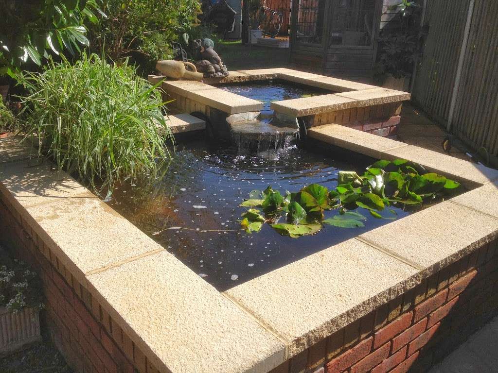 Perrys ponds and Problems | 9 Pond Walk, Upminster RM14 3YH, UK | Phone: 07737 254250