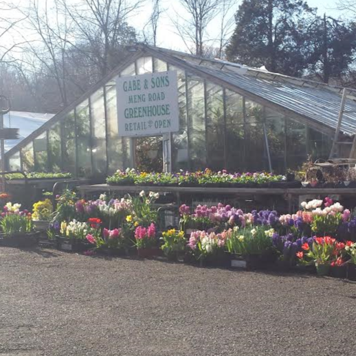 Meng Road Greenhouse | 27 Meng Rd, Schwenksville, PA 19473, USA | Phone: (610) 287-8356